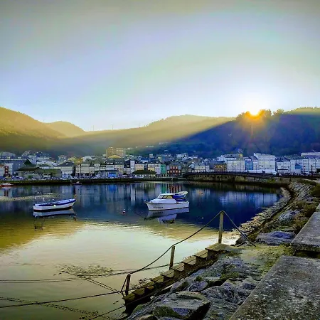 Indiano 1k * Viveiro