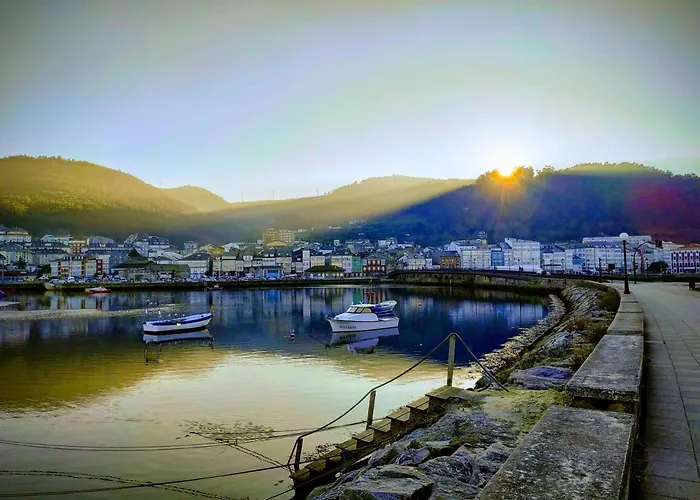 Indiano 1k * Viveiro